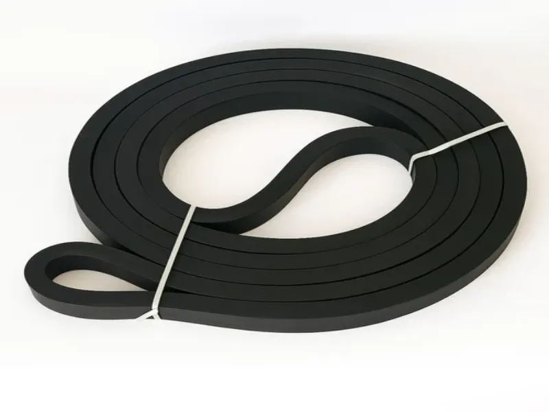 Silicone Autoclave Gaskets